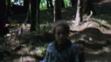 St Paul Minnesota USA (1962): Child In The Woods