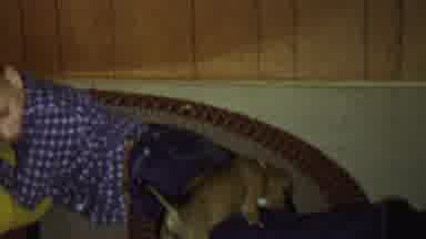 St Paul Minnesota USA (1962): Boy Laying On The Floor At Home With New Puppy