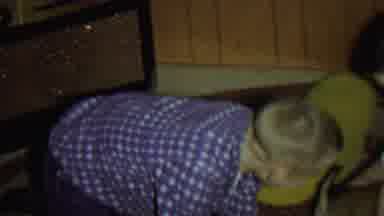 St Paul Minnesota USA (1962): Brother And Sister Playing With A Little Puppy,