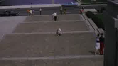 Washington DC USA (1969): People In Motion