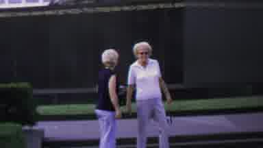 Washington DC USA (1969): A Group Of Tourists Are Visiting A Park And Walking