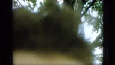 Pennsylvania (1957): Person's Forehead, Then Woman Sitting In 1950'S Automobile