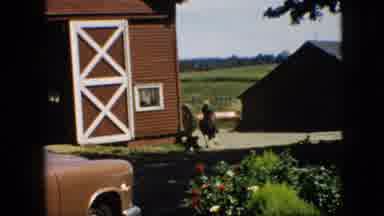 Pennsylvania (1957): Horse Galloping Around The Barn