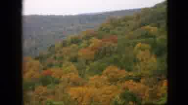 Pennsylvania (1957): Forest Over Rolling Hills With Fall Colored Leaves On An