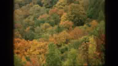 Pennsylvania (1957): Camera Roaming Around Autumn Trees In Mountains