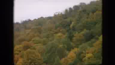 Pennsylvania (1957): Trees Beginning To Change Into Autumn Colors Cover A Hill