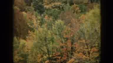 Pennsylvania (1957): Mountain Trees In Full Foliage Gold, Red And Orange Colors Of