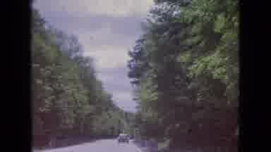 Niagra Falls New York (1964): Cars Travelings Down Wooded Road.