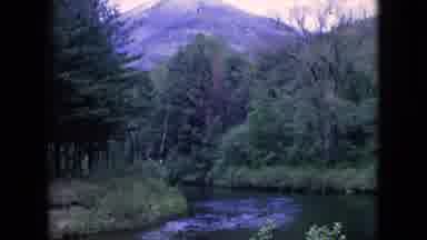 Niagra Falls New York (1964): River Flows Through Forest Around River Bend Near