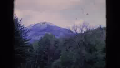 Niagra Falls New York (1964): A Snow Capped Mountains Behind A Forest.