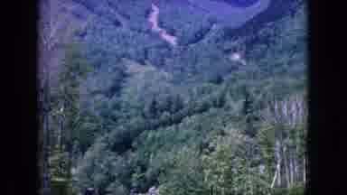 Niagra Falls New York (1964): View Of Forested Mountainside During Fire Or