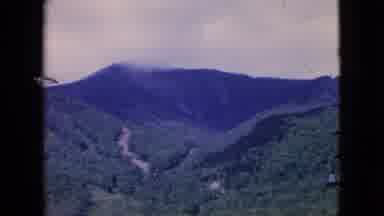 Niagra Falls New York (1964): Mountain With Evergreen Trees And Plants