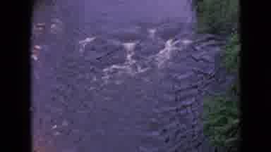 Niagra Falls New York (1964): Curious Stream Of Water By The Forest
