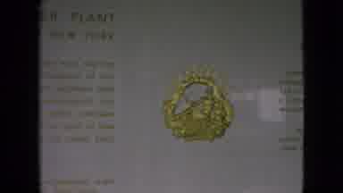 Niagra Falls New York (1964): Autos Driving Across Bridge And A Golden Seal Of A