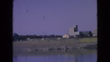 Niagra Falls New York (1964): River Near A Field By Several Buildings On The
