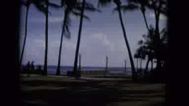 Hawaii (1965): Tourist At A Beach Spot With Palm Trees Near The Ocean