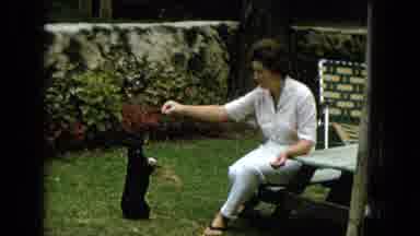 Hawaii (1965): Woman Sits In Yard Holding Up Treat For Black Dog Standing On Its