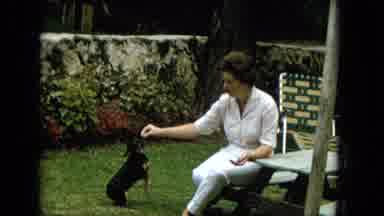 Hawaii (1965): Dog Training Outdoors By Woman