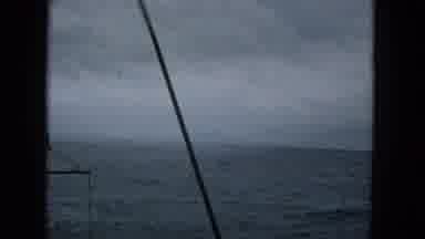 1965:EASTER MOLOKAI WHALES BEACH PARADE ALOHA TOWER. Boat On The Ocean Heading