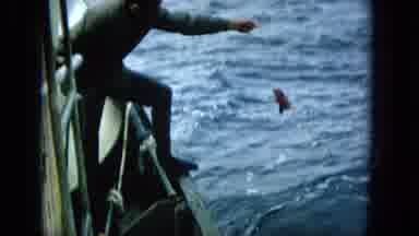 1965:EASTER MOLOKAI WHALES BEACH PARADE ALOHA TOWER. Tug Boat Fishing: Male