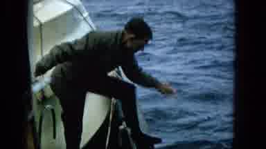 1965:EASTER MOLOKAI WHALES BEACH PARADE ALOHA TOWER. A Man Pulling A Fish Out Of