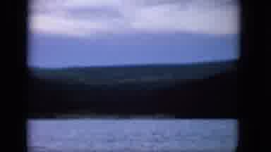 1965:EASTER MOLOKAI WHALES BEACH PARADE ALOHA TOWER. Scene Of Nature With View