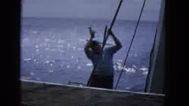 1965:EASTER MOLOKAI WHALES BEACH PARADE ALOHA TOWER. Man Hanging On Boat's Lines