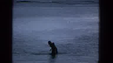 1965:EASTER MOLOKAI WHALES BEACH PARADE ALOHA TOWER. People Person Water Sea