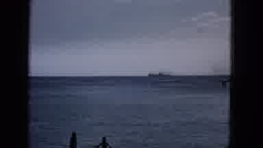 1965:EASTER MOLOKAI WHALES BEACH PARADE ALOHA TOWER. Frolicking In The Waves
