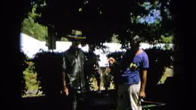 1965:EASTER MOLOKAI WHALES BEACH PARADE ALOHA TOWER. One Fish, Two Fish