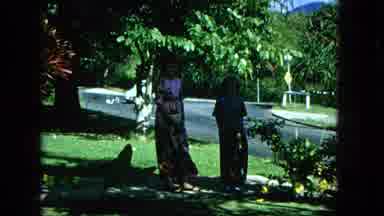 1965:EASTER MOLOKAI WHALES BEACH PARADE ALOHA TOWER. People Examining A Plant In
