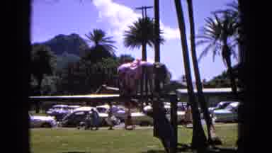 1965:EASTER MOLOKAI WHALES BEACH PARADE ALOHA TOWER. Sunny Day At A Park