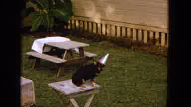 1965:EASTER MOLOKAI WHALES BEACH PARADE ALOHA TOWER. A Group Of Kids Playing At
