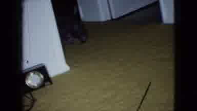 Wellsburg Iowa (1965): Dog Runs Through Room