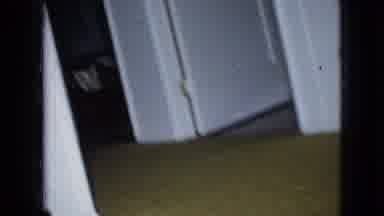 WELLSBURG IOWA-1965: Happy Dog Emerging From Doorway