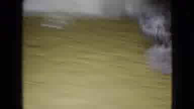 Wellsburg Iowa (1965): A Dog Running To Hide Underneath A Table.