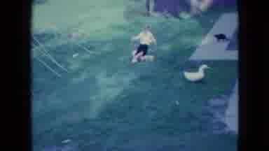 Wellsburg Iowa (1965): Flash Of A Dog Then On To Two Children Rolling Down A Hill