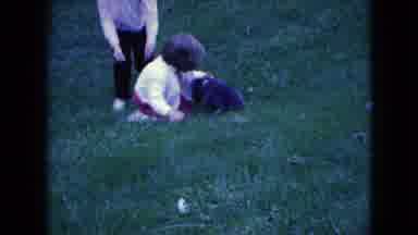 Wellsburg Iowa (1965): Two Peacocks Roaming The Zoo With One Puppy