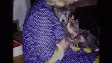 Wellsburg Iowa (1965): Woman Holding Her Pet Poodle Dog