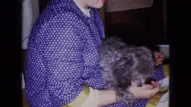Wellsburg Iowa (1965): Puppy Is The Carpet