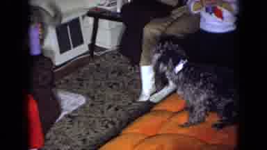 Wellsburg Iowa (1965): Furry Canine Friends