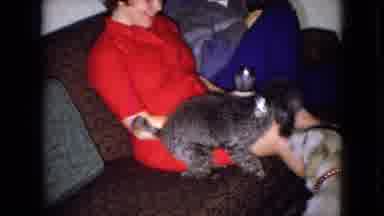 WELLSBURG IOWA-1965: Home Movie Of Childhood Dogs