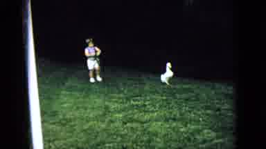 Wellsburg Iowa (1965): A Child And A Duck Walk Together On The Slope Of A Lawn