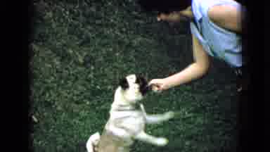 Wellsburg Iowa (1965): White Lady Feeding Pug Dog Along With Girl Child Running In