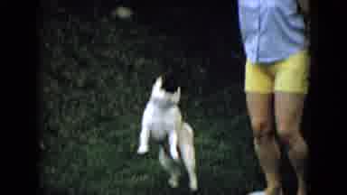 Wellsburg Iowa (1965): A Woman Playing Outside With Her Pug.
