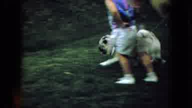 Wellsburg Iowa (1965): A Girl, A Puppy, And A Duck Playing In The Yard.