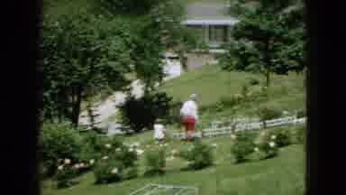 Wellsburg Iowa (1965): Rose Bushes