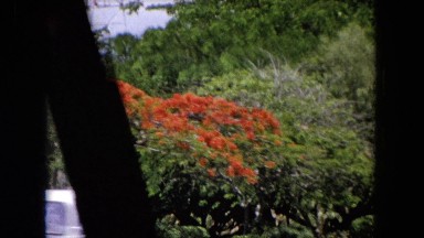 1966:CEREMONY PUNCHBOWL LAKE WILSON KAPIOLANI PARK. Panning A Monument With