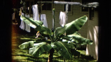 1966: Ceremony at Punchbowl Lake in Wilson Kapiolani Park, Panning Monument