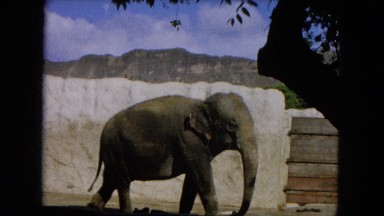 1966: Ceremony Punchbowl Lake Wilson Kapiolani Park. People Setting Up At The Stage